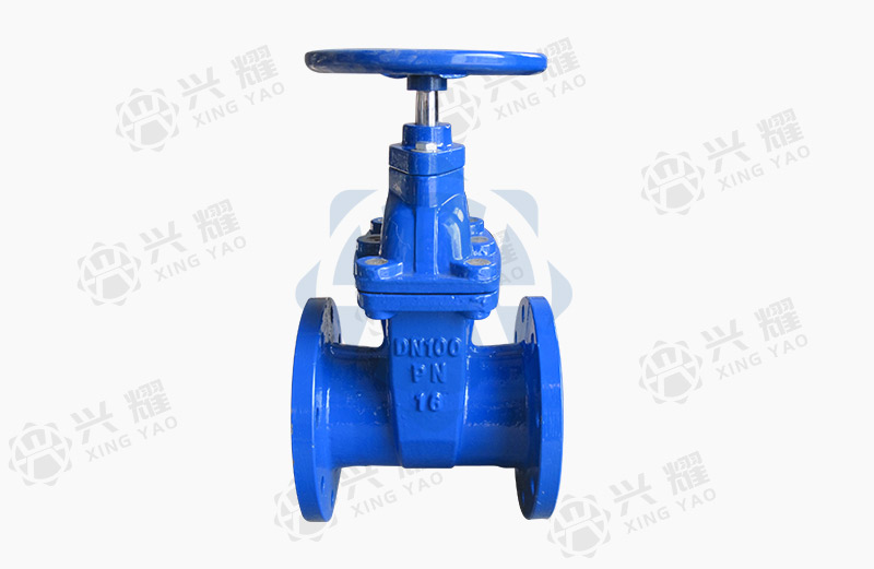 Dark rod soft seal gate valve