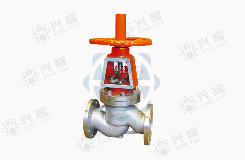 Oxygen special globe valve